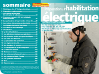 Support formateur – Préparation à l’habilitation électrique pour les opérations d’ordre électrique- MémoForma.fr