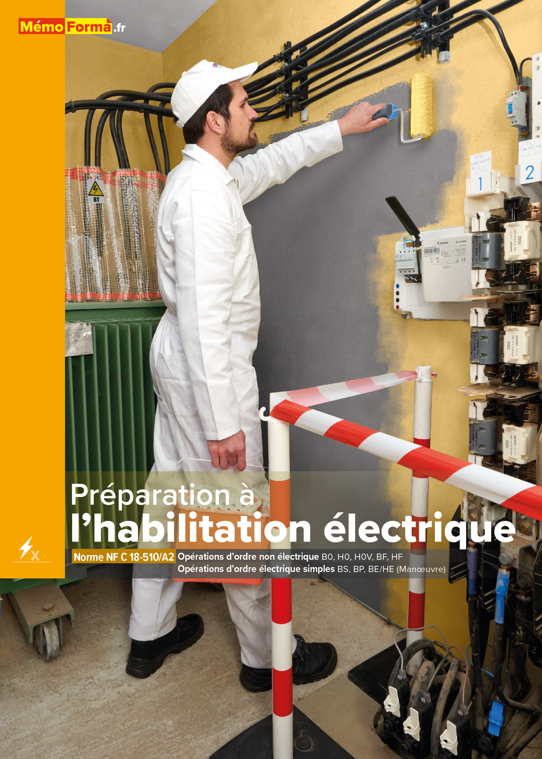 Manuel de formation – Préparation à l’habilitation électrique pour les opérations d’ordre non électrique - MémoForma.fr